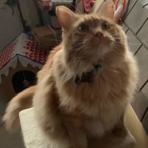 Meet your Posher, Patty